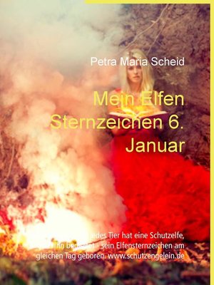 cover image of Mein Elfen Sternzeichen 6. Januar